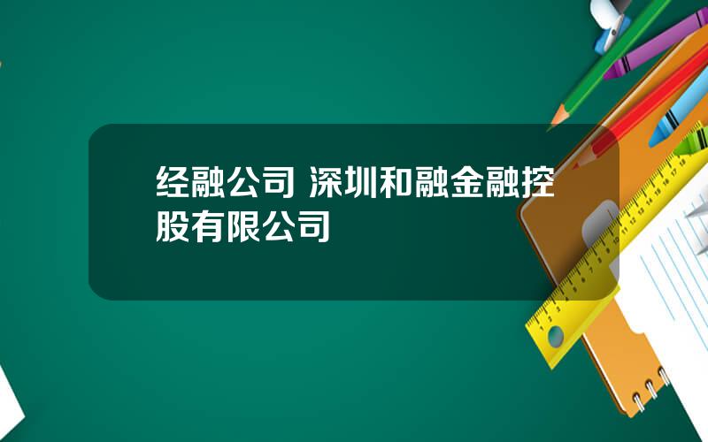 经融公司 深圳和融金融控股有限公司